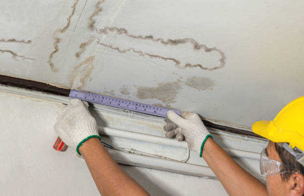 Reliable Water Damage contractor in Filer City, MI by Water Damage Irwin